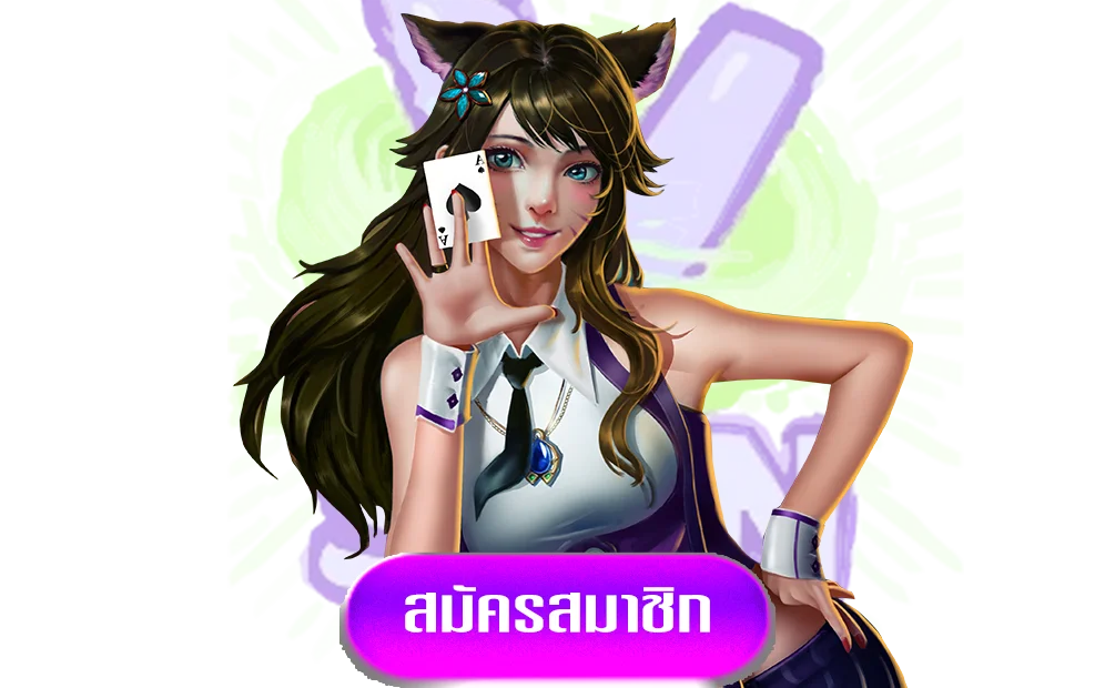 vspin-ทางเข้า